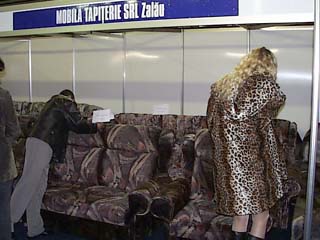 MOBILA TAPITERIE srl ZALAU.jpg (25309 bytes)